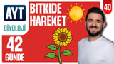 40.Gün: Bitkide Hareket Soru Çözümü video önizlemesi