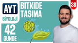 38.Gün: Bitkide Taşıma video önizlemesi