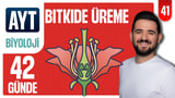 41.Gün: Bitkide Üreme ve Gelişme Soru Çözümü video önizlemesi
