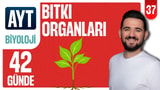 37.Gün: Bitki Organları Soru Çözümü video önizlemesi