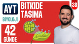 38.Gün: Bitkide Taşıma Soru Çözümü video önizlemesi