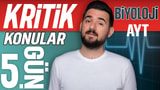 5.Gün: Dolaşım Sistemi video önizlemesi