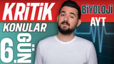6.Gün: Solunum Üriner Sistem video önizlemesi