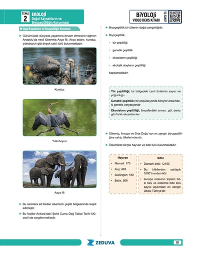 Biosem Biyoloji 10.Sınıf Biyoloji Notları - Görsel 8