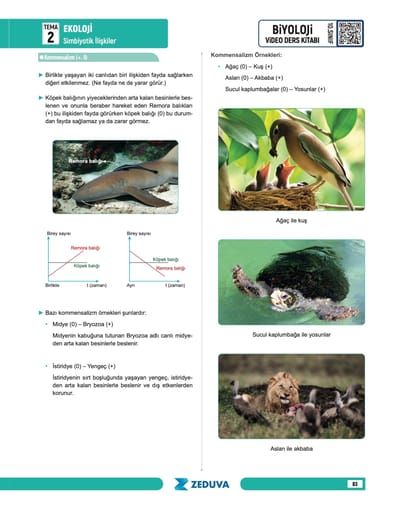 Biosem Biyoloji 10.Sınıf Biyoloji Notları - Görsel 6