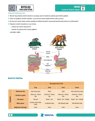 Biosem Biyoloji 10.Sınıf Biyoloji Notları - Görsel 5