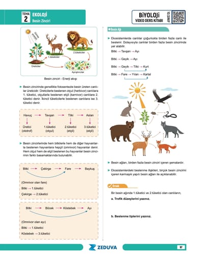 Biosem Biyoloji 10.Sınıf Biyoloji Notları - Görsel 7
